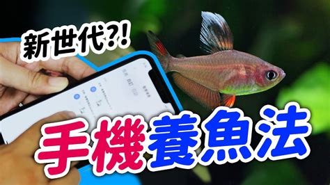 懶人養魚|其實養魚不用這麼累！科技型懶人魚缸！